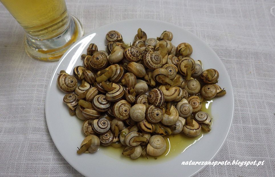 Caracóis